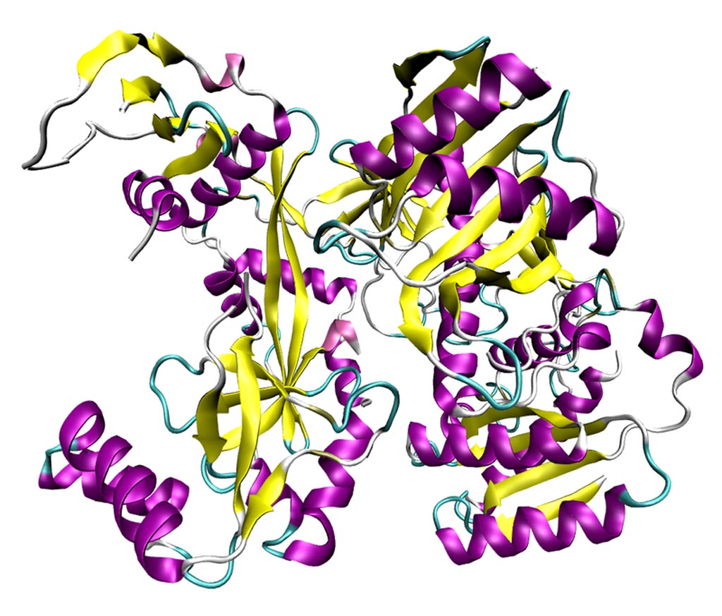Image: An argonaute protein from Pyrococcus furiosus; these proteins are the catalytic endonucleases in the RNA-induced silencing complex, the protein complex that mediates the RNA interference phenomenon (Photo courtesy of Wikimedia Commons).