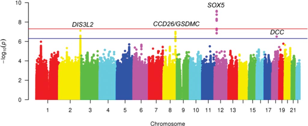 Image: Manhattan plot for meta-analysis (discovery) of GWAS of chronic back pain; Red line depicts genome-wide statistical significance; Blue line depicts suggestive significance (Photo courtesy of University of Washington).