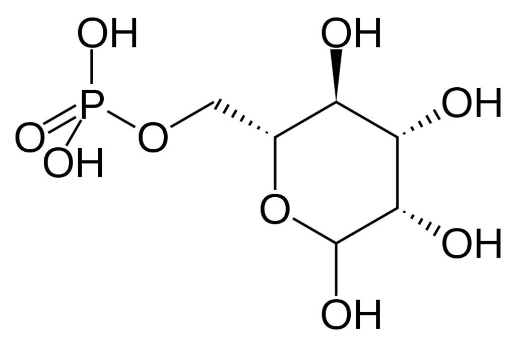 Image: Skeletal formula of mannose-6-phosphate, a form of mannose that impairs   glucose metabolism (Photo courtesy of Wikimedia Commons).