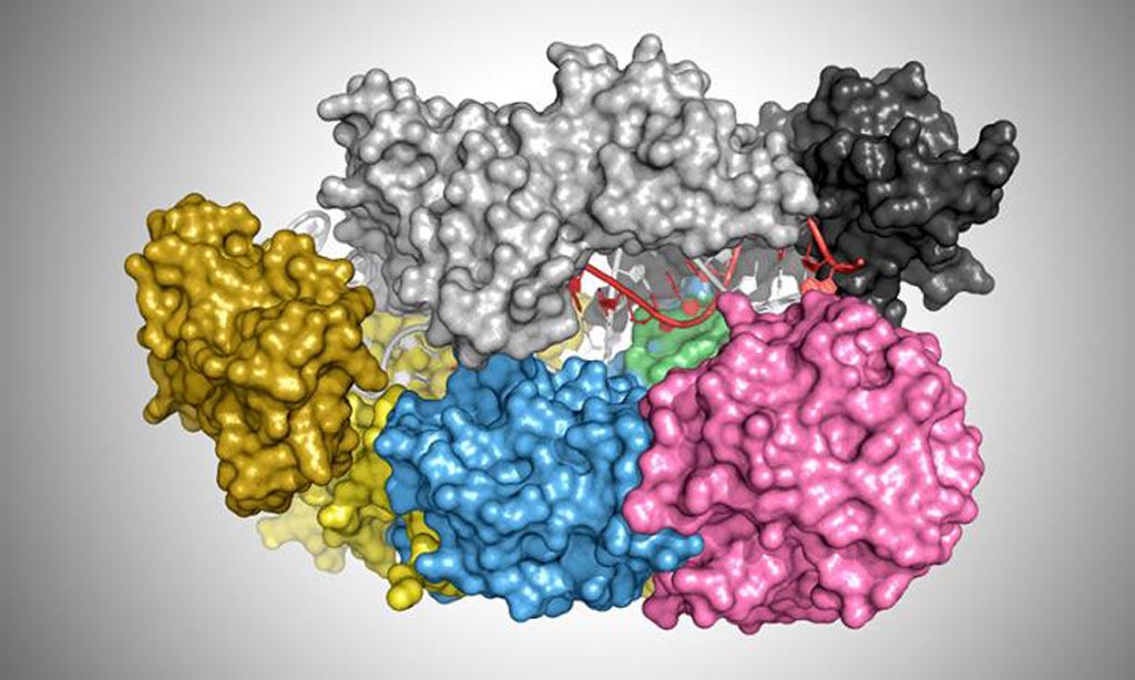 Image: Illustration showing the protein Cas12a (Cpf1) bound to a DNA helix (red and white) (Photo courtesy of T. Yamano and H. Nishimasu, who discovered and published the coordinates of each atom in the protein-DNA complex. James Rybarski used those coordinates and software called PyMol to generate the illustration).