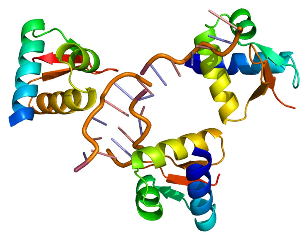 Image: The structure of the ADAR protein (Photo courtesy of Wikimedia Commons).