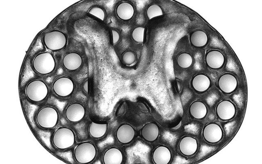 Image: A three-dimensional printed, two-millimeter implant used as scaffolding to repair spinal cord injuries in rats. The circles surrounding the H-shaped core are hollow portals through which implanted neural stem cells can extend axons into host tissues (Photo courtesy of Jacob Koffler and Wei Zhu, University of California, San Diego).