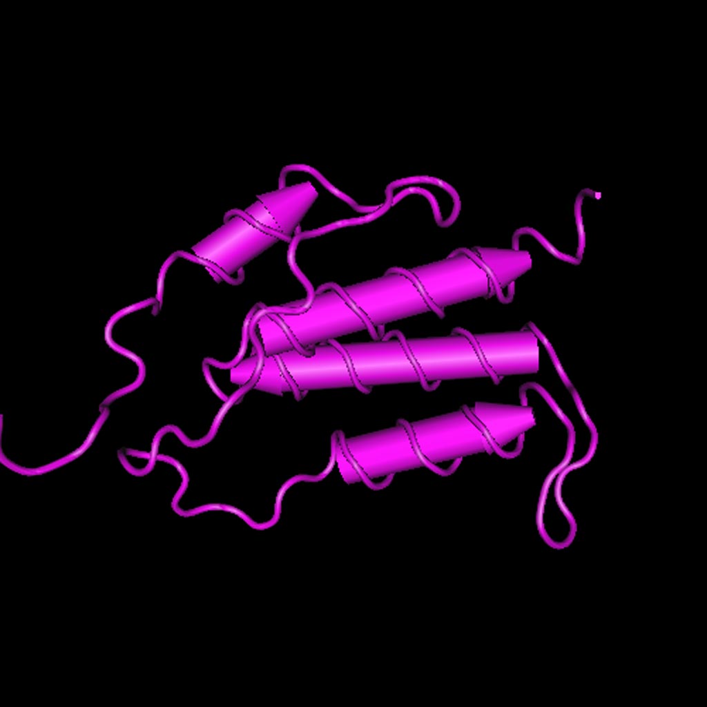 Image: Structure of the C-terminal helical repeat domain of eukaryotic elongation factor 2 kinase (EEF2K) (Photo courtesy of the U.S. National Center for Biotechnology Information).