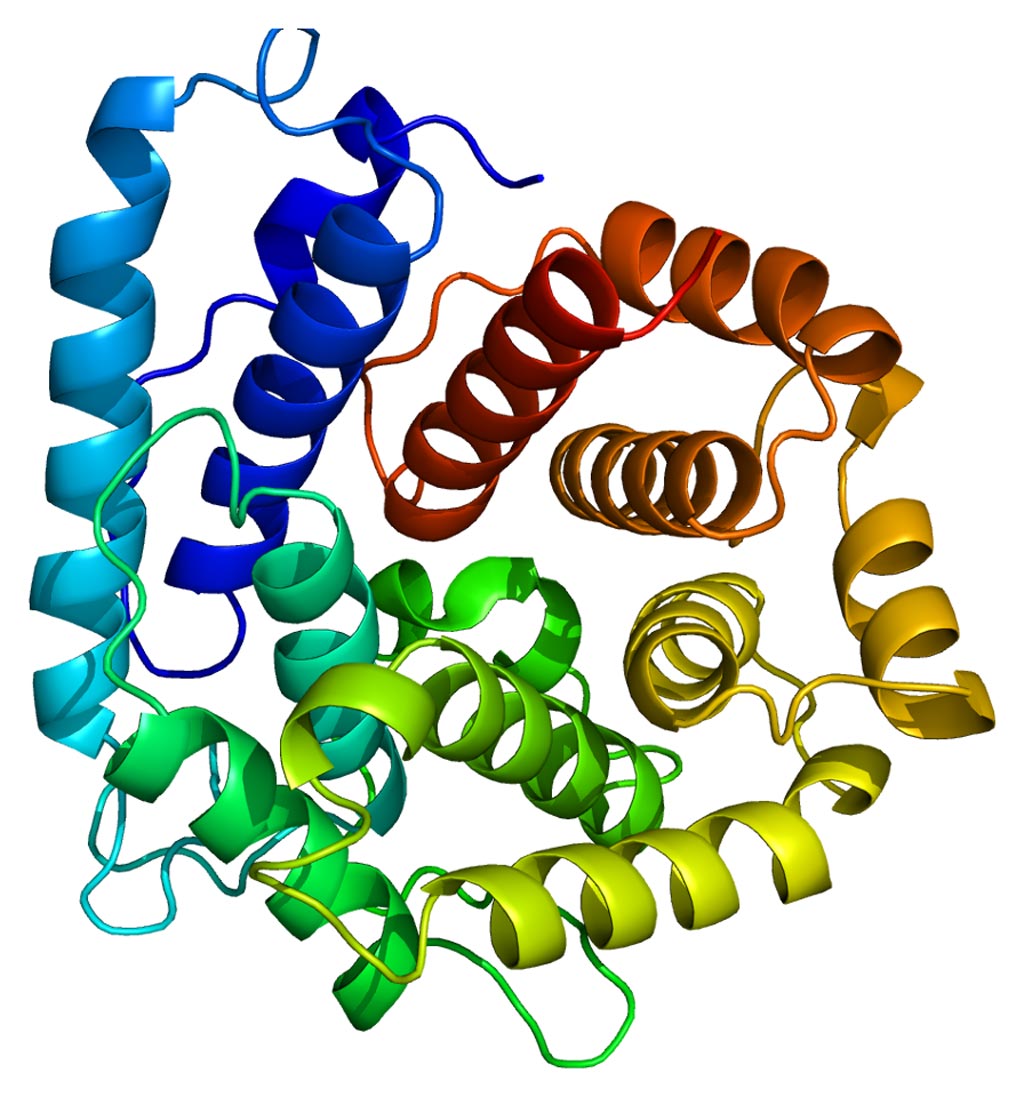 Image: The structure of the third complement (C3) protein (Photo courtesy of Wikipedia).