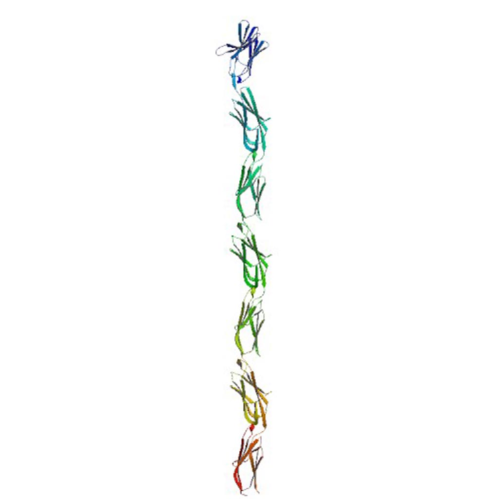 Image: A representation of CEACAM5 protein (Photo courtesy of Wikimedia Commons).