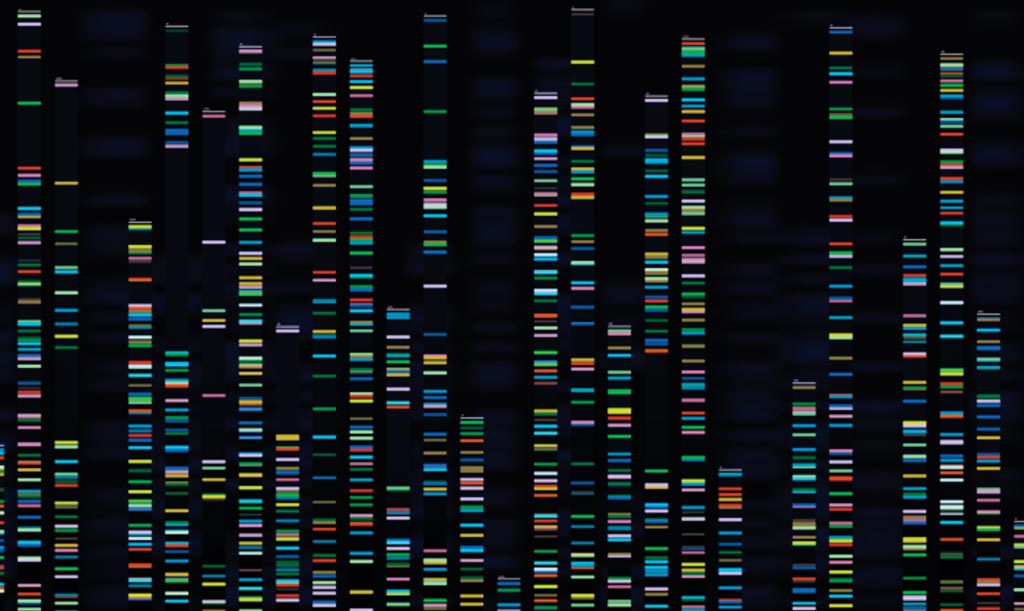 Image: Ten new genes have been discovered in the development of schizophrenia using whole exome sequencing (Photo courtesy of Broad Institute).