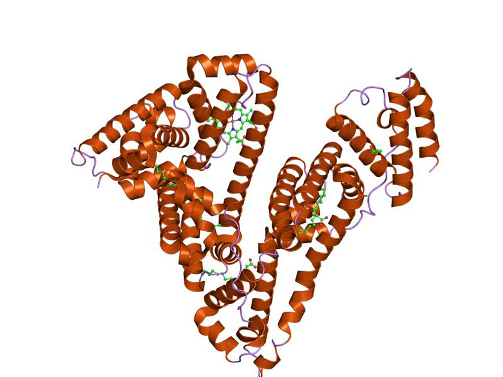 Image: Representation of the structure of human serum albumin, the most abundant protein in human blood plasma (Photo courtesy of Wikimedia Commons)