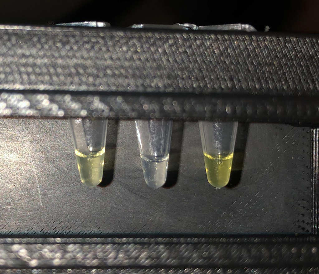 Image: The test tube on the left shows a real positive result from water sampled in Costa Rica. The middle tube is a negative control. The tube on the right is a positive control (Photo courtesy of Dr. Julius B. Lucks, Northwestern University)