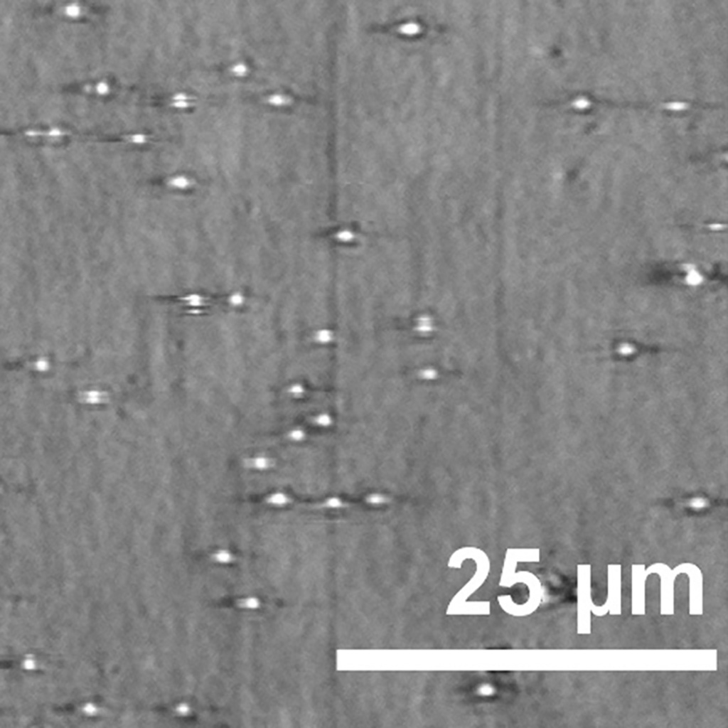 Image: Each dot seen in this PRAM image represents one microRNA that has bound to the sensor (Photo courtesy of Nantao Li, University of Illinois)