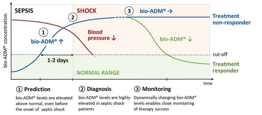 Image: Endothelial function biomarker adrenomedullin as assayed by bio-ADM improves sepsis patients risk stratification (Photo courtesy of sphingotec).