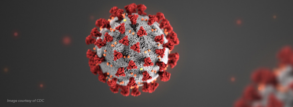 Image: Illustration of a 2019- novel coronavirus (nCoV) virion (Photo courtesy of CDC)