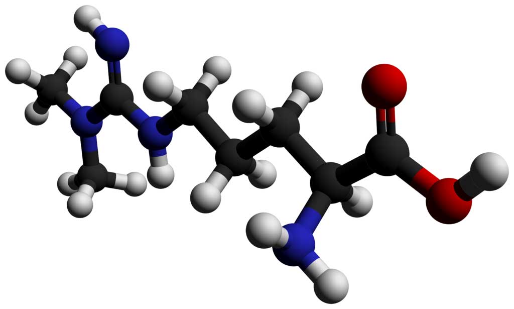 Image: Three-dimensional ball-and-stick model of asymmetric dimethylarginine (Photo courtesy of Wikimedia Commons)