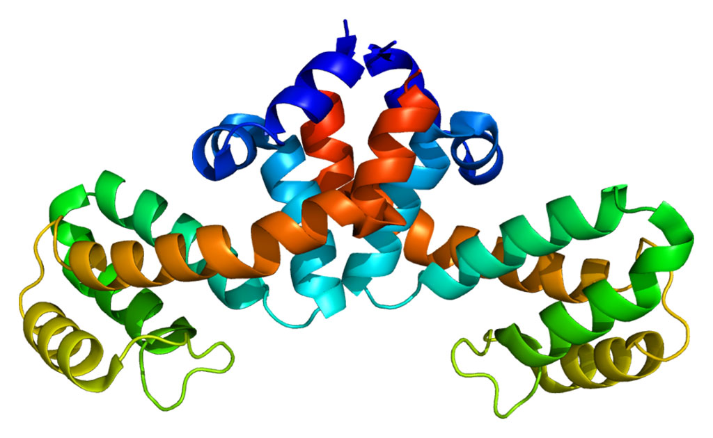 Structure of the RGS1 protein (Photo courtesy of Wikimedia Commons)