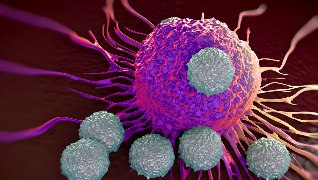 Image: Cancer cells sometimes evade the body`s immune system by switching off T- cell`s anticancer protection; immunotherapy blocks this, but does not work in all patients (Photo courtesy of University of Bath)