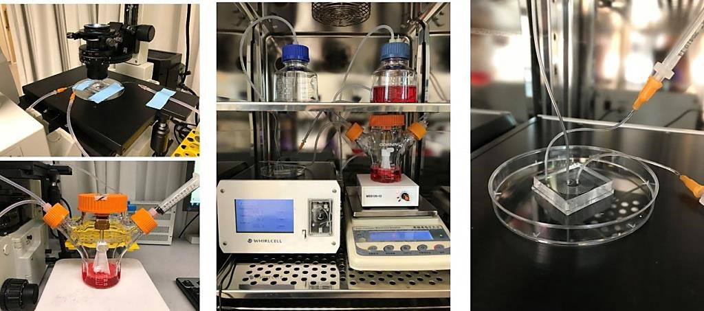 Image: Laboratory set-up of microfluidic sorting and purification of cells during red blood cell culture and manufacturing (Photo courtesy of Singapore-MIT Alliance for Research and Technology).