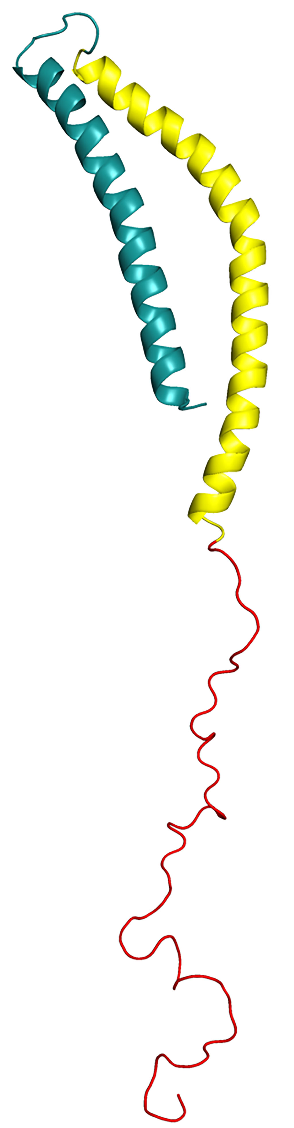 Image: A structural model of human alpha-synuclein protein (Photo courtesy of Wikimedia Commons)