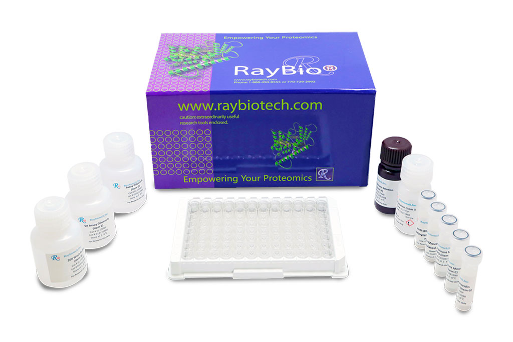Image: An ELISA kit for measuring gastric inhibitory polypeptide (GIP) (Glucose-dependent insulinotropic polypeptide) (Incretin hormone) in human sera (Photo courtesy of RayBiotech Life).