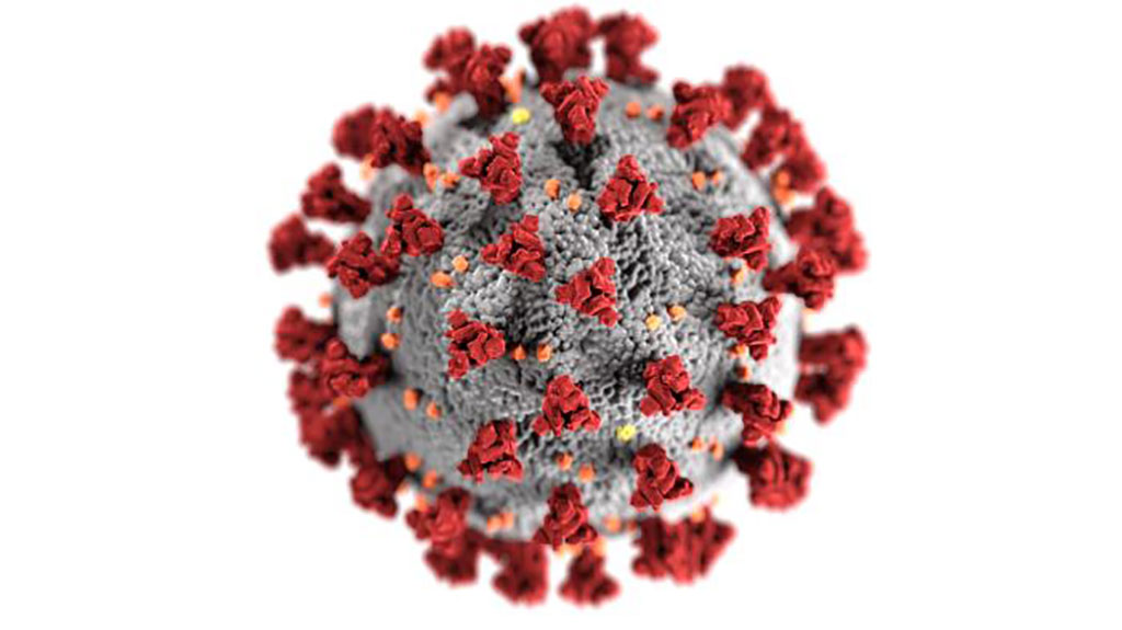 Image: This illustration reveals ultrastructural morphology exhibited by the coronavirus that causes COVID-19. Note the spikes that adorn the outer surface of the virus, which impart the look of a corona surrounding the virion (Photo courtesy of [U.S.] Centers for Disease Control and Prevention)