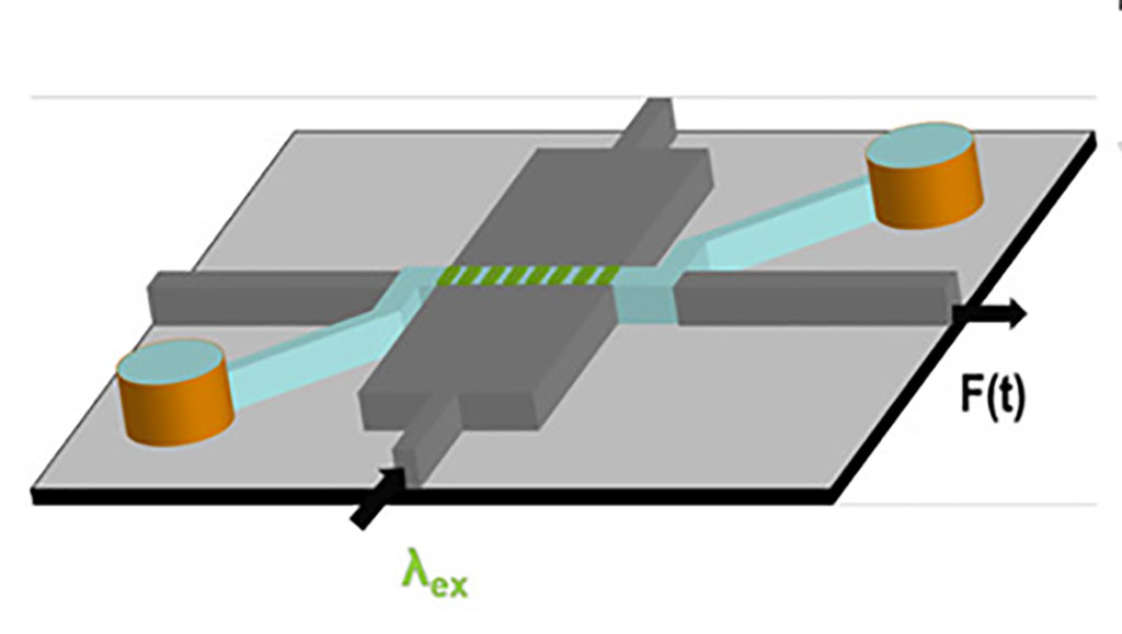 Image: This illustration shows the setup of the optofluidic chip for rapid detection of single antigens of SARS-CoV-2 and Influenza A (Photo courtesy of Stambaugh et al., PNAS 2021)