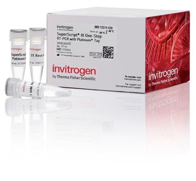 The SuperScript III Reverse Transcriptase (RT) kit provides increased specificity with gene-specific primers (GSPs) and the highest cDNA yield of all RTs (Photo courtesy of Thermo Fisher Scientific).