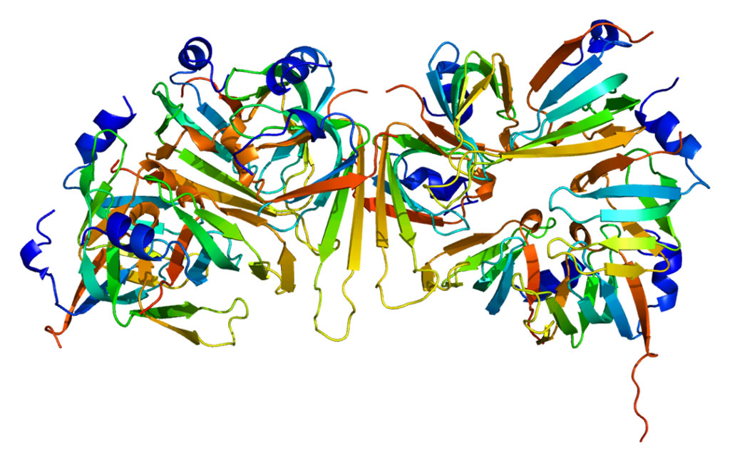 Image: SNRPN (Small nuclear ribonucleoprotein-associated protein N). SNRPN-methylation is used to detect imprinting errors on chromosome 15 (Photo courtesy of Wikimedia Commons)