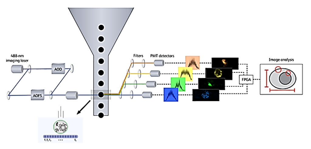 Image: Schematic diagram of image-enabled cell sorting, developed at BD Biosciences and  tested by European Molecular Biology Laboratory (Photo courtesy of BD Bioscience)