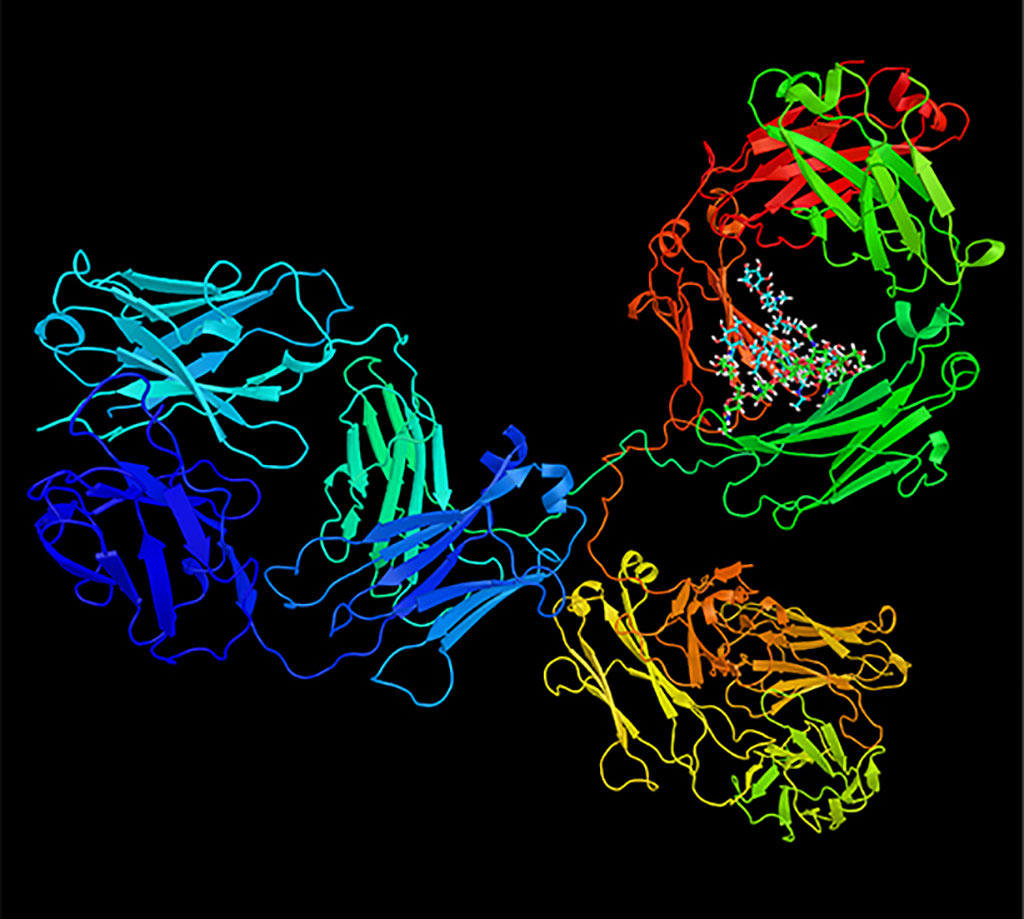 Image: Attobody platform produces highly diverse pool of antibodies (Photo courtesy of Alamar Biosciences)
