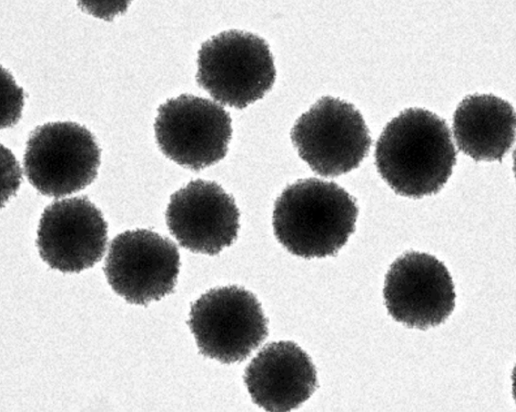 Image: Transmission electron micrograph of gold nanoparticles coated in fuzzy platinum shells, which are components of the CrisprZyme visualization system (Photo courtesy of The Stevens Group, Imperial College London)