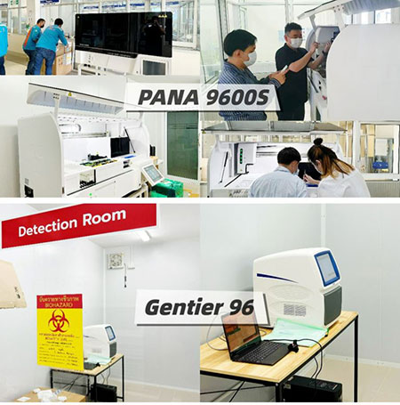 Good News!- Tianlong has helped build up the HCV&HBV detection line for hospitals in northern Thailand! 