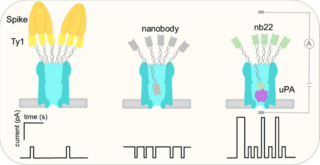 Image: A breakthrough in development of tiny nano-sized pores can help detect diseases at an earlier stage (Photo courtesy of Aarhus University)