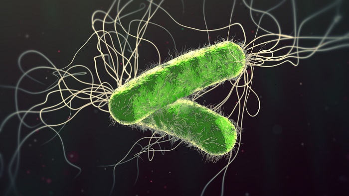 Image: A study has revealed new mechanism for rapid evolution of multi-drug resistant infections in patients (Shutterstock)