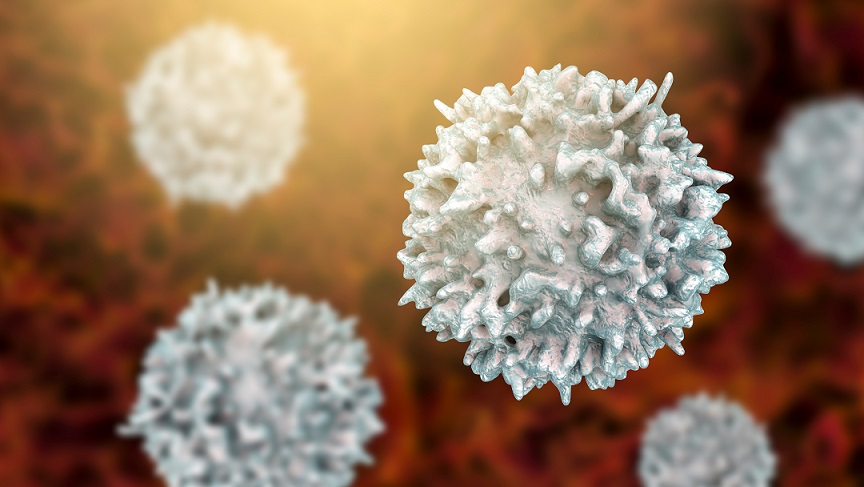 Image: Immune cells present long before infection predict flu symptoms (Photo courtesy of Shutterstock.com)