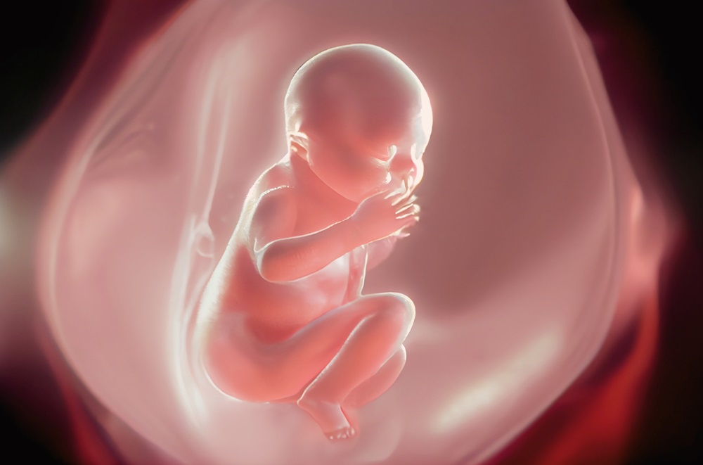 Image: A new blood test can identify genetic diseases in fetuses (Photo courtesy of 123RF)
