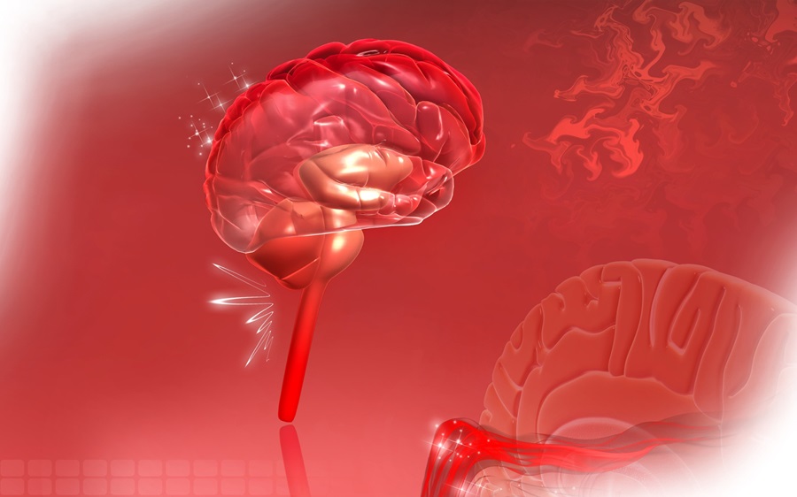 Image: The blood test predicts functional outcome after an ischemic stroke (Photo courtesy of 123RF)