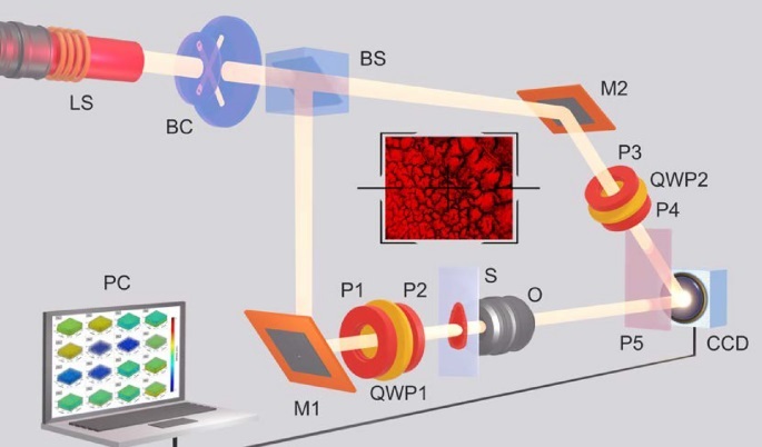 A schematic of the 3D MM imaging experimental setup used in the studies of blood films (Photo courtesy of Ushenko, A.G., et al.; doi.org/10.1038/s41598-024-63816-z)