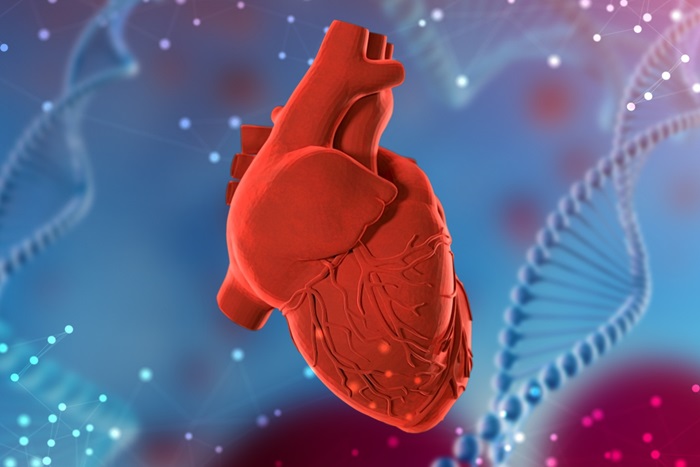 Image: The CardioGENE precision medicine blood test predicts heart disease and therapeutic intervention (Photo courtesy of  Shutterstock)