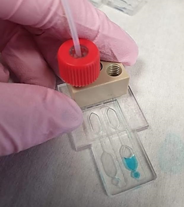 Image: Microfluidic testing in the lab (Photo courtesy of Heriot-Watt University)