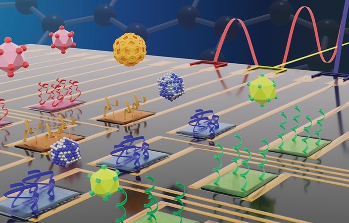 Image: Site-selective immobilization of different bioreceptors on individual field-effect transistors, achieved through the use of thermal scanning probe lithography (Photo courtesy of NYU Tandon)