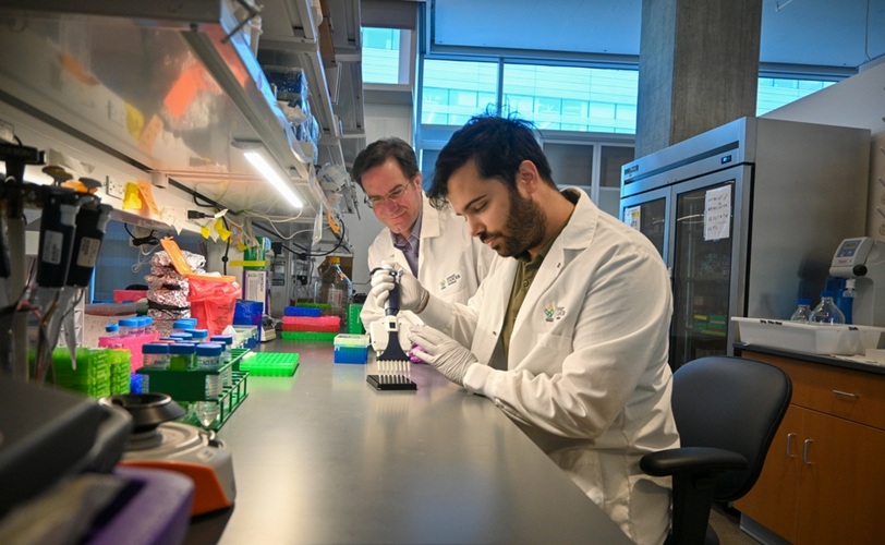 Image: The test uses a small blood sample to detect changes in protease activity (Photo courtesy of OHSU/Christine Torres Hicks)