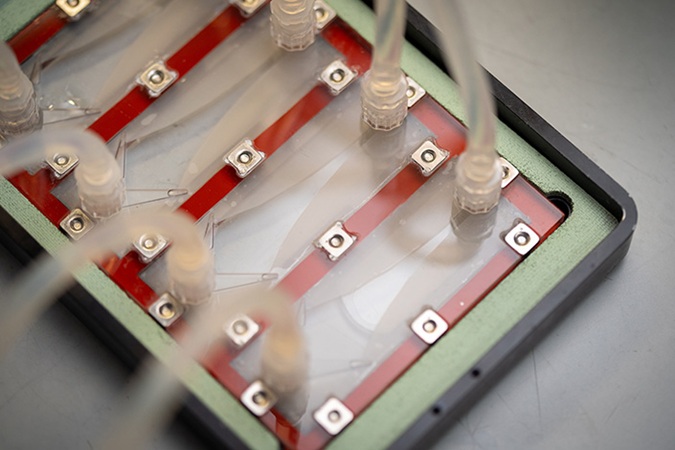 Image: As tumor cells flow through these microfluidic chambers, they are subjected to increasing shear stress and sorted based on their adhesion strength (Photo courtesy of UC San Diego)