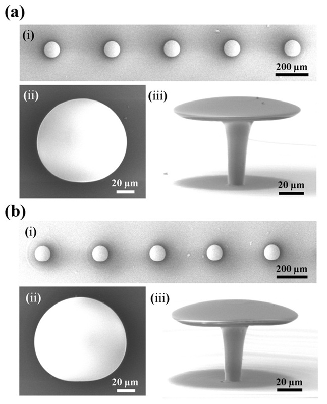 Image: Scanning electron microscopy images showing 3D micro-printed Limacon-shaped whispering-gallery-mode microcavities with different amounts of deformation (Photo courtesy of A. Ping Zhang/PolyU)