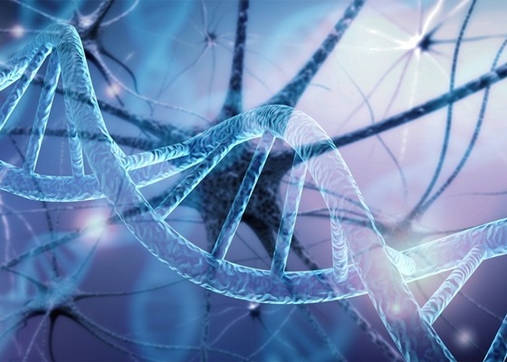 Image: New biomarkers could someday make it easy to spot Parkinson’s disease in a patient’s blood sample (Photo courtesy of Shutterstock)