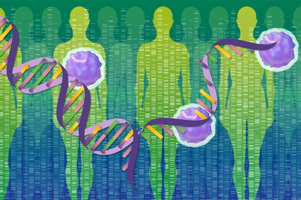 Image: The new tool is designed for accurate detection of structural variations in clinical samples (Photo courtesy of Karen Arnott/EMBL-EBI and Isabel Romero Calvo/EMBL)