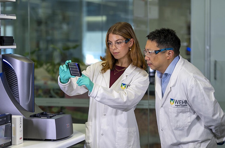 Image: PhD researcher Olivia Moscatelli and Associate Professor Jason Tye-Din with the highly sensitive technology used to detect the critical IL-2 signal (Photo courtesy of WEHI)