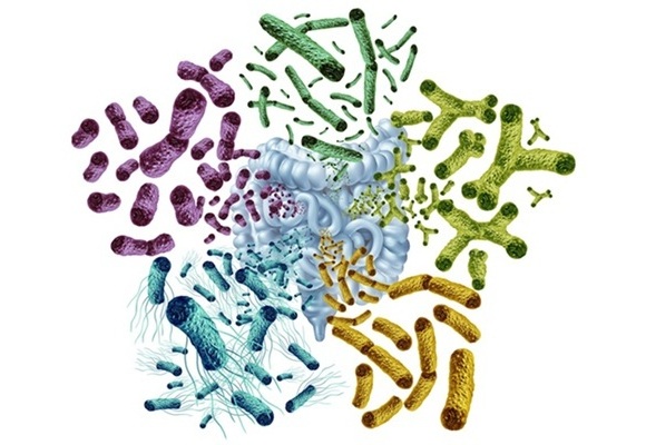 Image: Gut microbes may help in recognizing and treating pancreatic cancer (Photo courtesy of Adobe Stock)