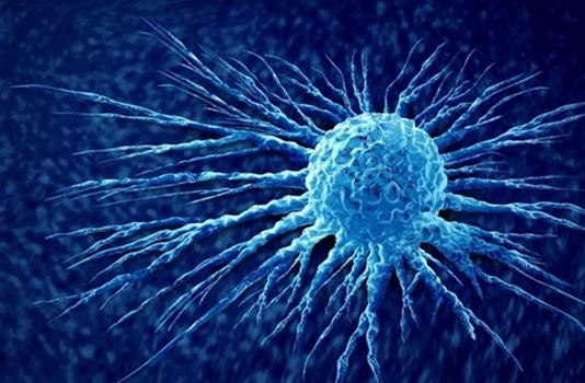 Image: A family of molecules could help diagnose and treat breast cancer (Photo courtesy of Shutterstock)