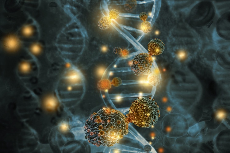 Image: The new tool shines a light on elusive genomic patterns (Photo courtesy of Adobe Stock)