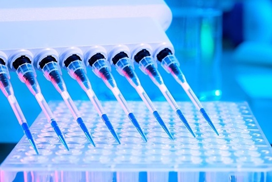 Image: The new research involved using digital PCR as a reference method to standardize test results between laboratories (Photo courtesy of Adobe Stock)