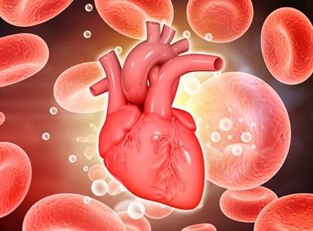 Image: A simple blood test could replace surgical biopsies for early detecion of heart transplant rejection (Photo courtesy of Shutterstock)