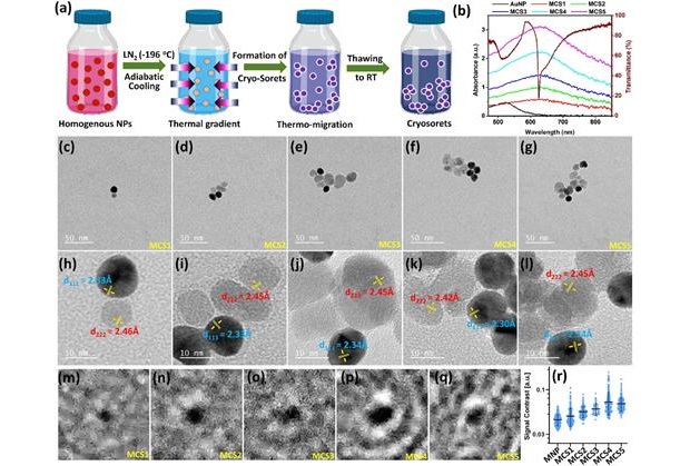 Image: Synthesis, optical, and electron microscopy characterization of magneto-plasmonic cryosorets (Photo courtesy of APL Mater. 13, 041103 (2025); doi.org/10.1063/5.0251312)